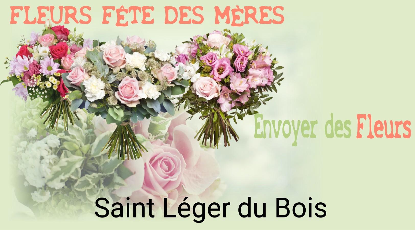 Bouquet de Fête des Mères livré à Saint-Léger-du-Bois